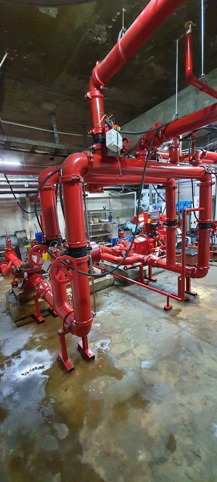 WhatsApp Image 2020-12-14 at 21.47.27